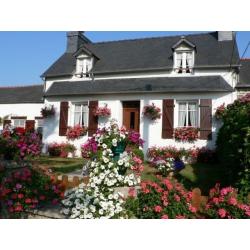 Le Grand Hortensia Pleyben centre Finistère